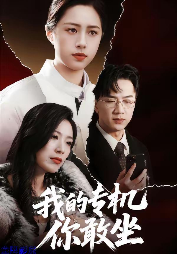 我的专机你敢坐
